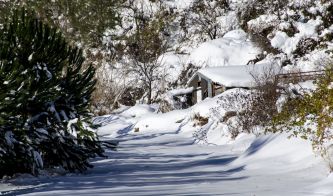 Troodos Mountains