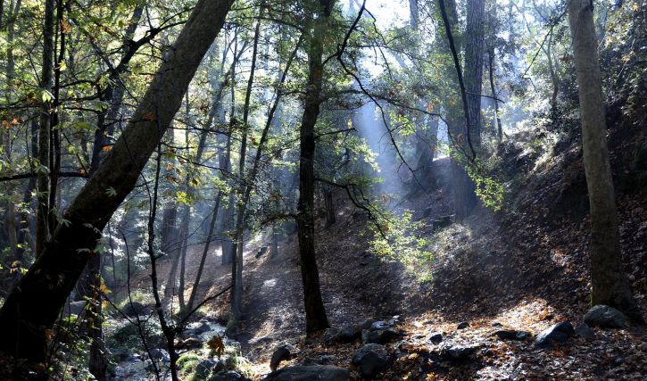 Troodos National Forest Park