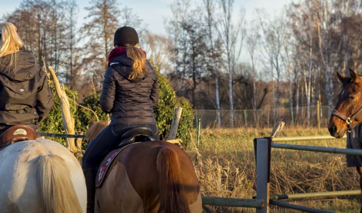 Horse Riding