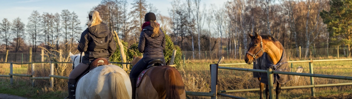 Horse Riding