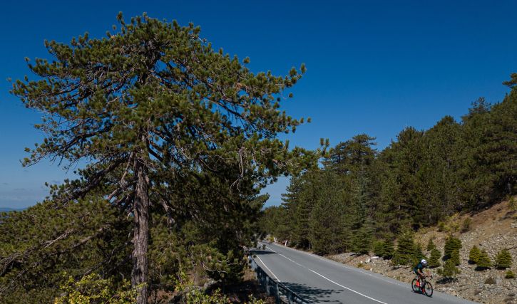 Lemesos - Fasouri - Pachna - Lemesos Cycling Route