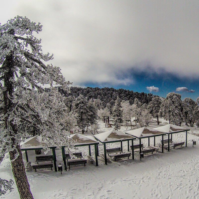 Troodos Area