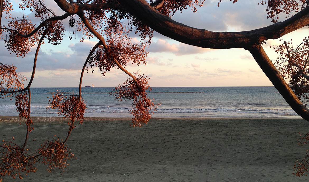 Winter in Limassol