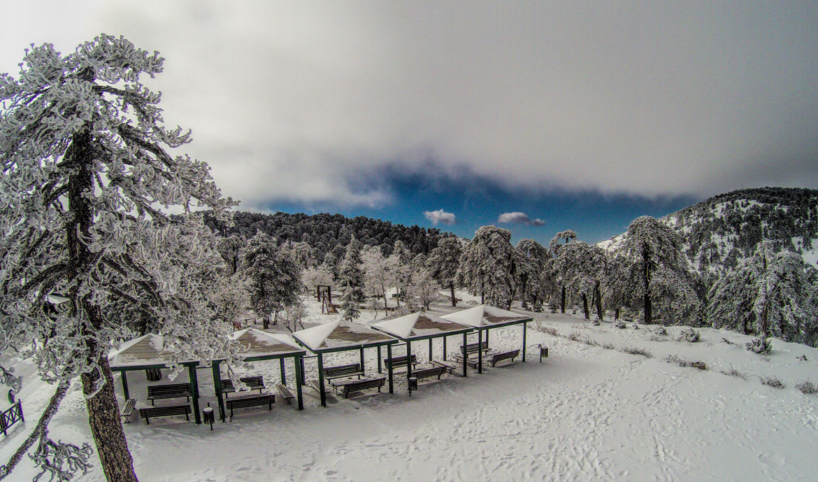 Troodos Area