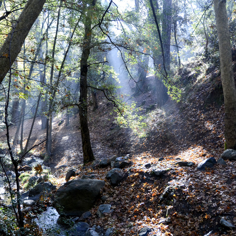 Nature Trails